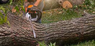 Lawn Watering Services in Herriman, UT